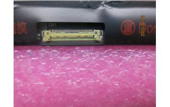 Lenovo 00HM745 DISPLAY LGD 12.5 FHD IPS AG