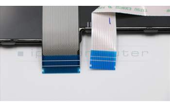 Lenovo 01HX354 Windu2 LTN NBL-KB HU