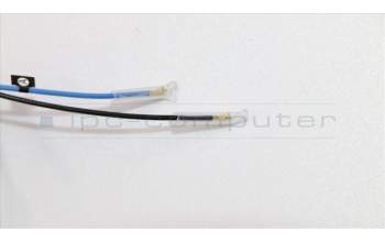 Lenovo 01LW234 ANTENNA FRU WL+WW Antenna Kit