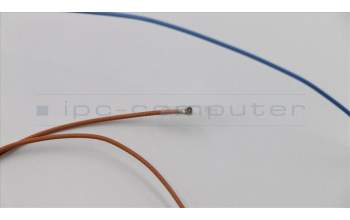 Lenovo 01YR425 ANTENNA KIT_Antenna_WWAN_Amphenol