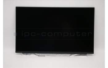 Lenovo 02HL711 DISPLAY INX 13.3 FHD IPS AG e-Privacy