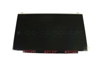 N173HCE-E31 Rev.C1 Innolux IPS Display FHD matt 60Hz (30-Pin eDP)