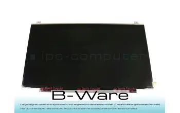 DLS17R IPS Display (1920x1080) matt slimline (30-Pin eDP) b-stock