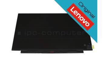 Original Lenovo TN display HD matt 60Hz for Lenovo ThinkPad X395 (20NM)