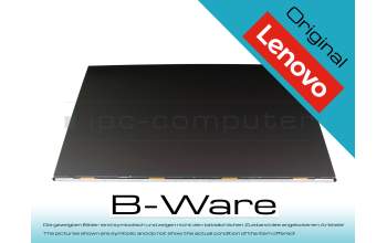 DY057R 100Hz IPS Display (1920x1080) matt b-stock