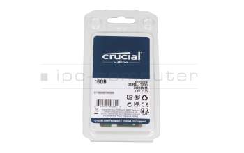 Crucial Memory 16GB DDR4-RAM 3200MHz (PC4-25600) for Asus R702UV