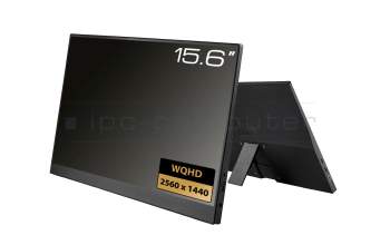 Portable display 15.6 WQHD USB-C/HDMI for Dell Latitude 14 (5410)