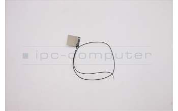 Lenovo 5A30S36070 ANTENNA H 82N4 MAIN+AUX