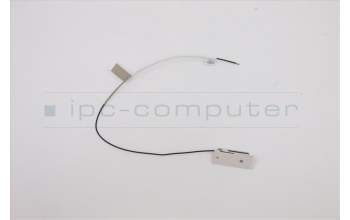 Lenovo 5A30W89186 ANTENNA Fru, 17L 350mm Front antenna