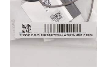 Lenovo 5A30W89250 ANTENNA Fru,AIO360_27 ANT_Awan
