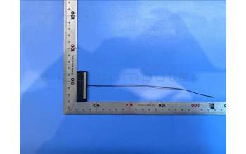 Lenovo 5A38C24747 TB352 Antenna&*81805-00131 CS
