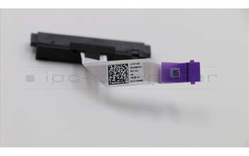 Lenovo 5C10Q59981 CABLE HDD Cable W 81AX