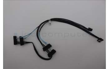 Lenovo 5C10U58705 Fru,Broadcom SATA 4-drop cable