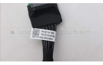 Lenovo 5C10U58750 CABLE Fru,16p_F to Dual PCIE 6+2p160mm