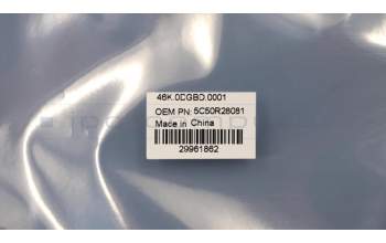 Lenovo 5C50R28081 E/A-Platine W 81B4 mit Kabel