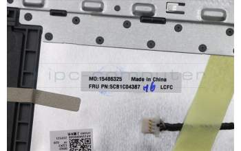 Lenovo 5CB1C04387 C-Abdeckung mit Tastatur, Englisch (US, Euro), Arktisgrau, Ohne_Hintergrundbeleuchtung, Fingerabdruck