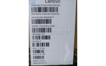 Lenovo 5CB1L37208 C-Abdeckung mit Tastatur, Deutsch, Arktisgrau, Ohne_Fingerabdruckscanner
