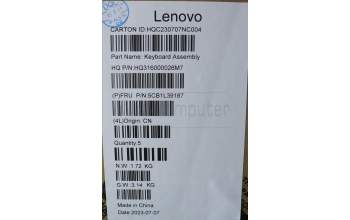Lenovo 5CB1L39187 C-Abdeckung mit Tastatur, Tschechisch/Slowakisch, arktisgrau, ohne Fingerabdruck, GB