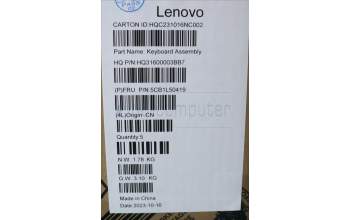 Lenovo 5CB1L50419 C-Abdeckung mit Tastatur, Spanisch, Arktisgrau, Ohne_Fingerabdruckscanner