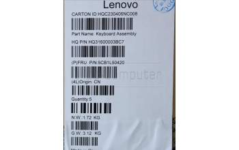 Lenovo 5CB1L50420 C-Abdeckung mit Tastatur, Schweiz, Arktisgrau, Ohne_Fingerabdruckscanner