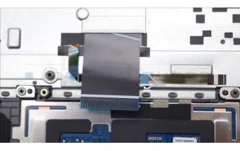 Lenovo 5CB1L90302 C-Abdeckung mit Tastatur, Deutsch, Arktisgrau, Hintergrundbeleuchtung, Fingerabdruck