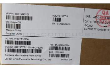 Lenovo 5CB1M45206 C-Cover with keyboard, French, Arctic Grey, Backlight, Fingerprint, US