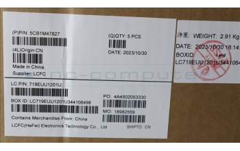 Lenovo 5CB1M47827 C-Cover with keyboard, German, Arctic Grey, Fingerprint, UK