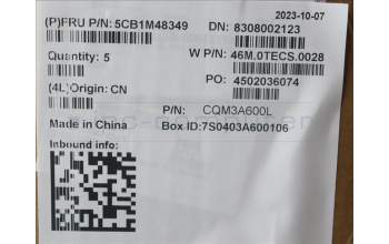 Lenovo 5CB1M48349 C-Cover with keyboard, Switzerland, Arctic Grey, Backlight, UK