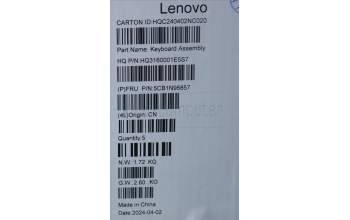 Lenovo 5CB1N96857 C-Cover with keyboard, German, Arctic Grey, FingerPrint, UK