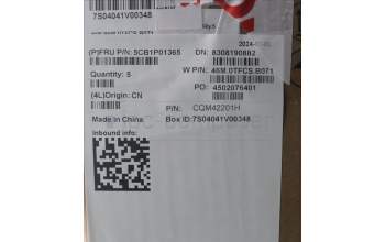 Lenovo 5CB1P01365 C-Cover with keyboard,US English Euro,Arctic Grey,Backlight