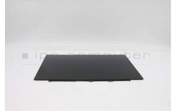 Lenovo 5D10S39669 DISPLAY LCD Module L82FX W/glue*0.2g