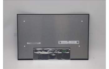 Lenovo 5D10V82455 DISPLAY FRU INX 14.0 N140JLG-GT3 C1