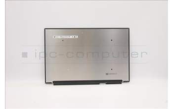 Lenovo 5D11B02428 DISPLAY FRU AU B160QAN02.H 0A 2.5K AG