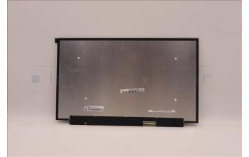 Lenovo 5D11C22964 DISPLAY FRU BO NE156QUM-N6C V8.1 UHDI AG