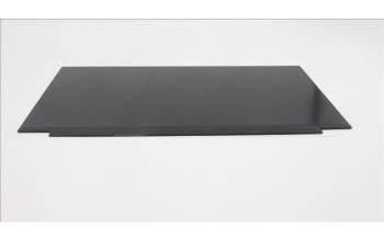 Lenovo 5D11F30354 DISPLAY FRU MNF601CA1-1 WQHD Color COST
