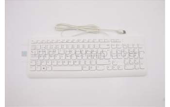 Lenovo 5D50U84488 Externe Tastatur, USB, Tschechisch/Slowakisch, Weiß, Nicht beleuchtet