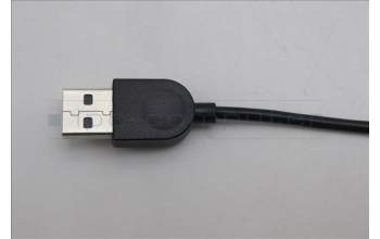 Lenovo 5D50U84566 Keyboard External,USB,USA English,Black