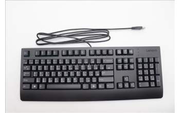 Lenovo 5D50U84624 AI Keyboard External,USB,Traditional Chinese,Black
