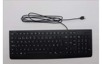 Lenovo 5D50U84719 AI Keyboard External,USB,Danish,Black