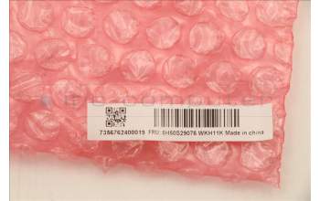 Lenovo 5H50S29076 HINGE C 21DM R&L MGR