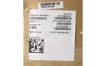 Lenovo 5M11B59931 C-Cover with keyboard, Italian, Titanium, WLAN, UK