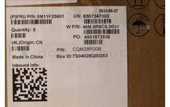 Lenovo 5M11F25601 C-Cover with keyboard, US English Euro, Black, WLAN, US