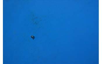 Lenovo 5M88C03036 PB1-770M Screw&*11412678-00 CS