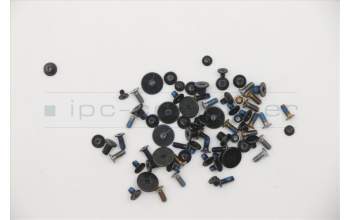 Lenovo 5S10S35169 Schraubenset H 81NG