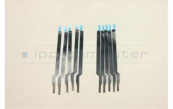 Lenovo 5T10S33094 Austauschbares Band C 81XE R/L