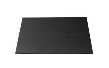 Alternative for Innolux N160JME-GTK IPS display WUXGA (1920x1200) matt 60Hz