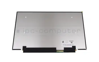Asus ROG Zephyrus G14 GA401QM IPS display FHD (1920x1080) matt 144Hz