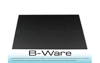 DZ167R IPS Display (3840x2400) matt b-stock