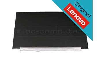 Lenovo 5D10P54289 original TN display HD (1366x768) matt 60Hz