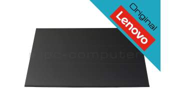 Lenovo 5D11J74768 original IPS display WUXGA (1920x1200) matt 60Hz